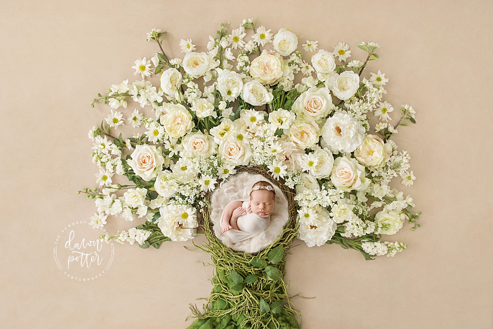 Renton Newborn Photographer_0076.jpg Renton Newborn Photographer_0076.jpg