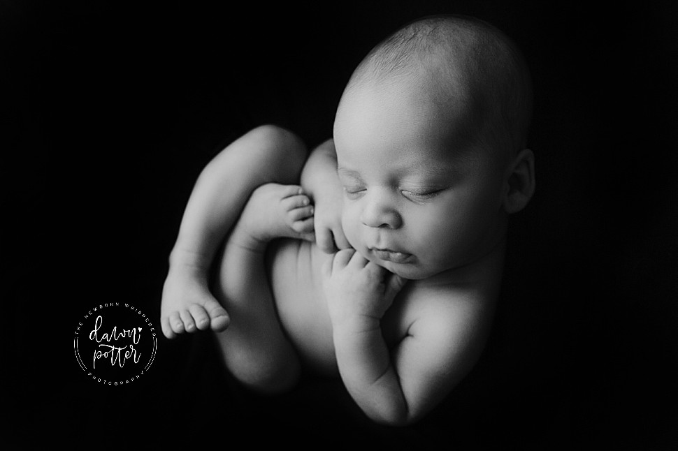 Renton Newborn Baby Photographer_0092.jpg Renton Newborn Baby Photographer_0092.jpg