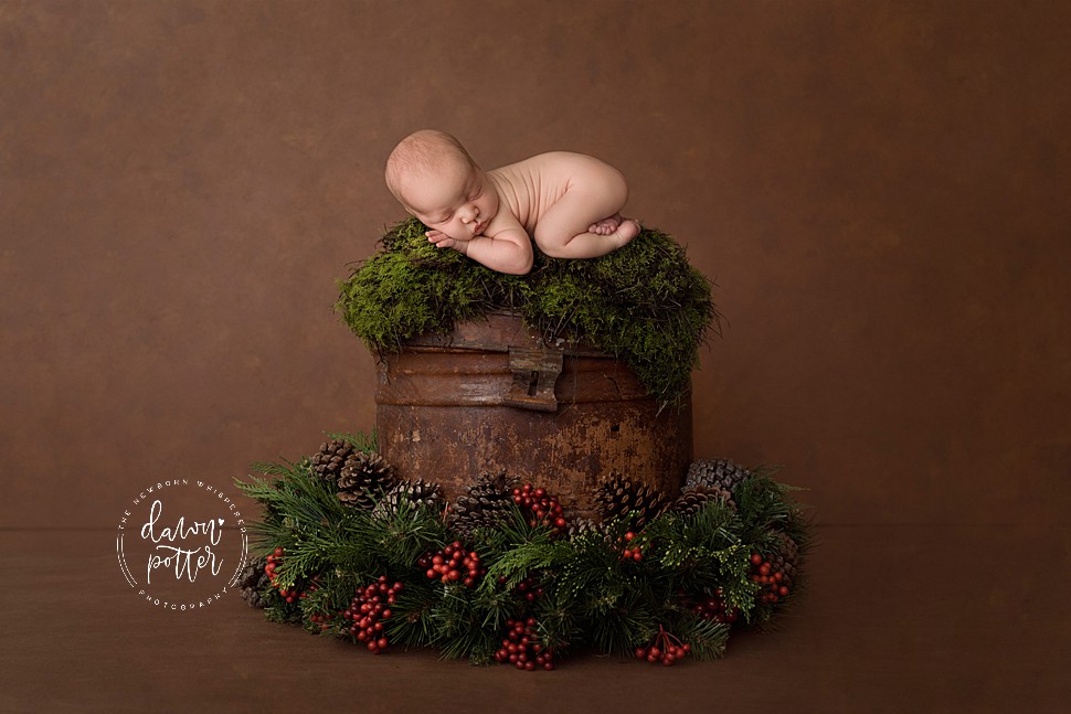 Renton Newborn Baby Photographer_0093.jpg Renton Newborn Baby Photographer_0093.jpg