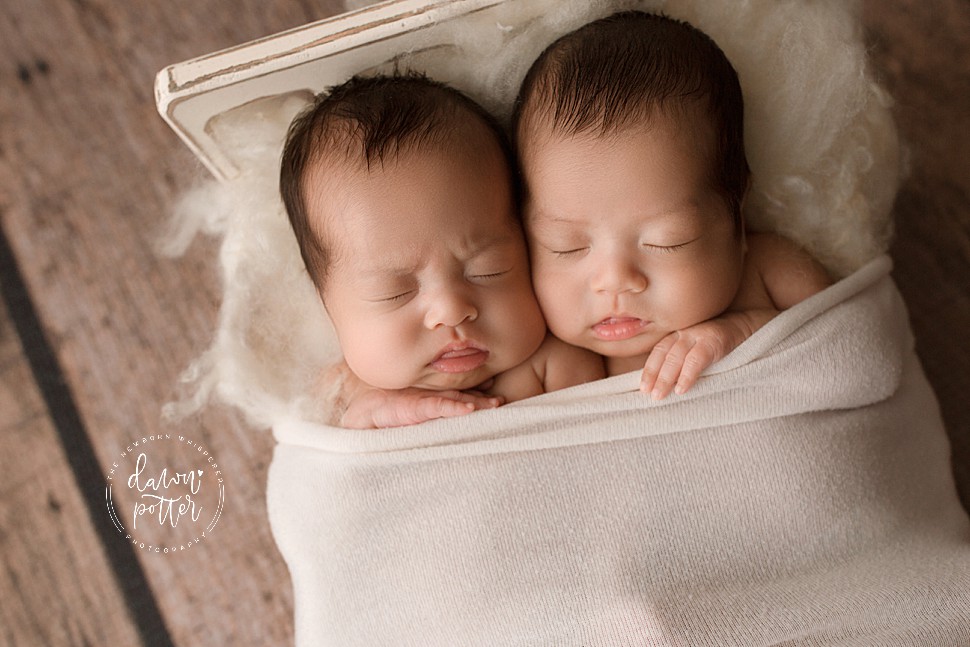 Renton newborn twins photographer_0168.jpg Renton newborn twins photographer_0168.jpg