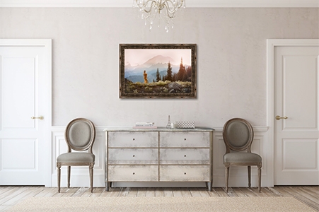 newborn photographer seattle wa