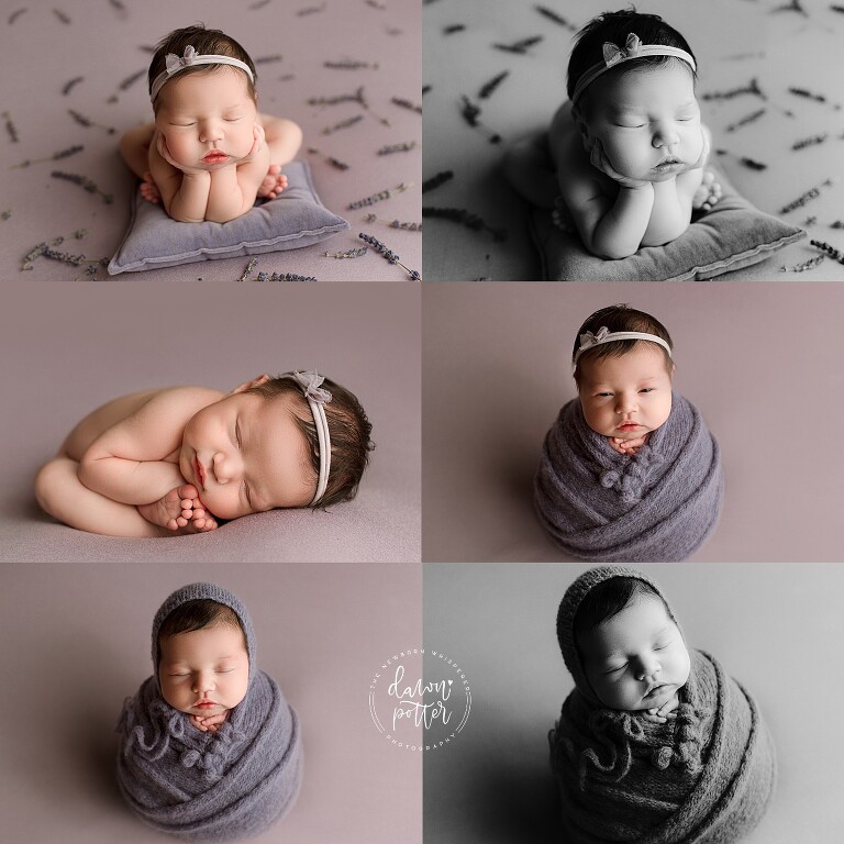 Best Newborn Photographers in Seattle