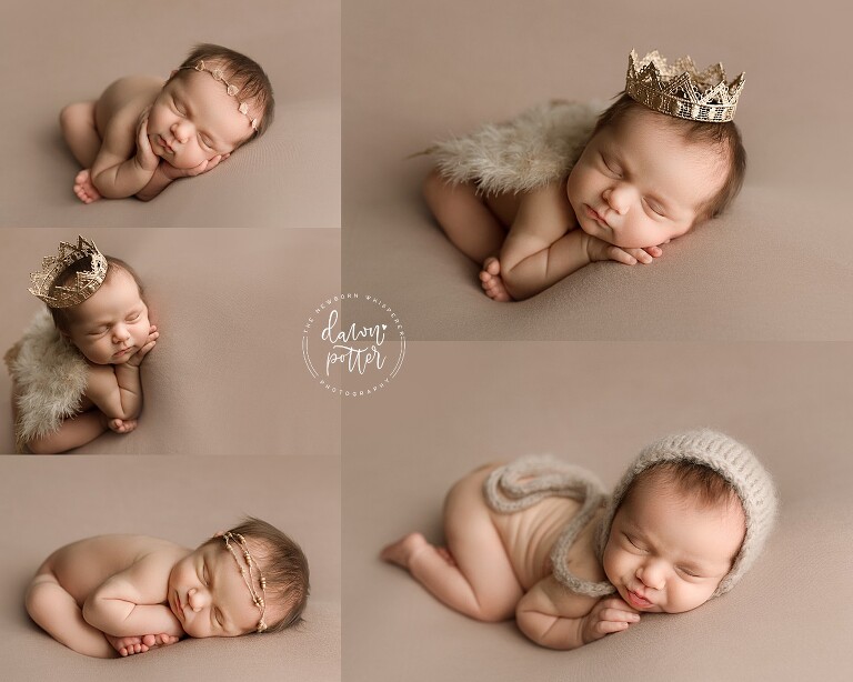 Seattle, Washington Newborn Photographer