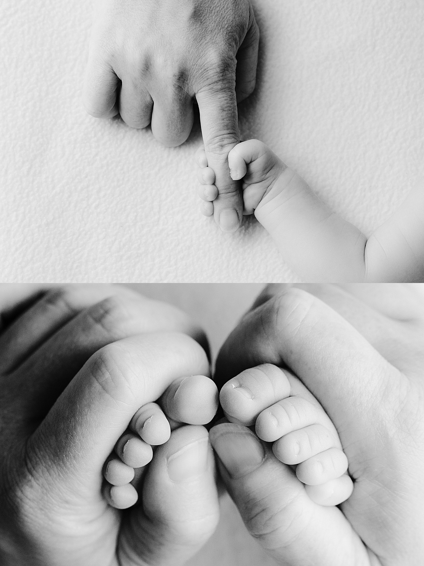 Seattle Newborn Baby Photographer_0039.jpg