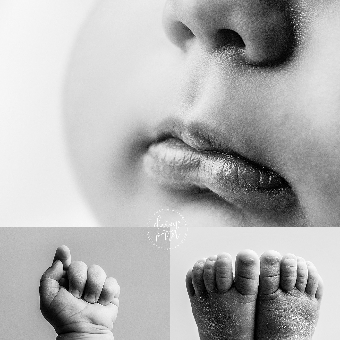 Seattle's Best Newborn Photographer_0093.jpg
