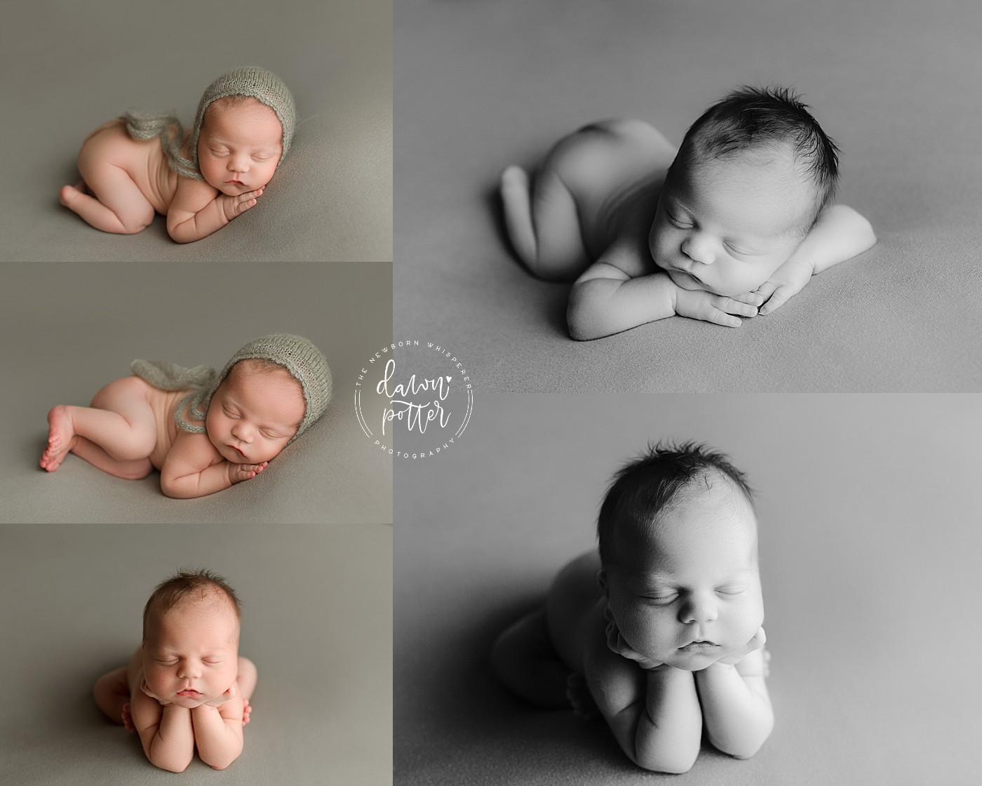 Tacoma Baby Photographer_0076.jpg