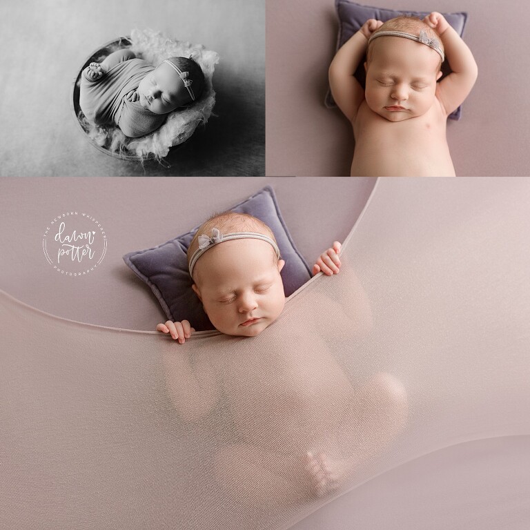 Mercer Island Newborn Photographer