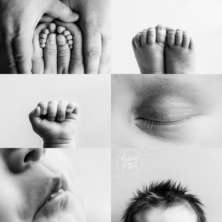 Tacoma Newborn Photographer_0152.jpg