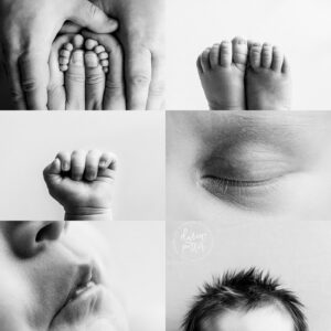 Tacoma Newborn Photographer