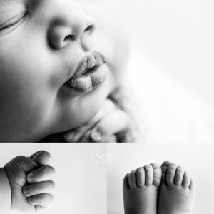 Best-Newborn-Photographer-in-Seattle