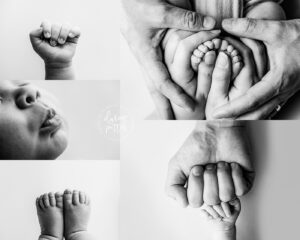 Bellevues-best-newborn-baby-photographer