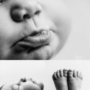 Seattle's Best Newborn Baby Photographer