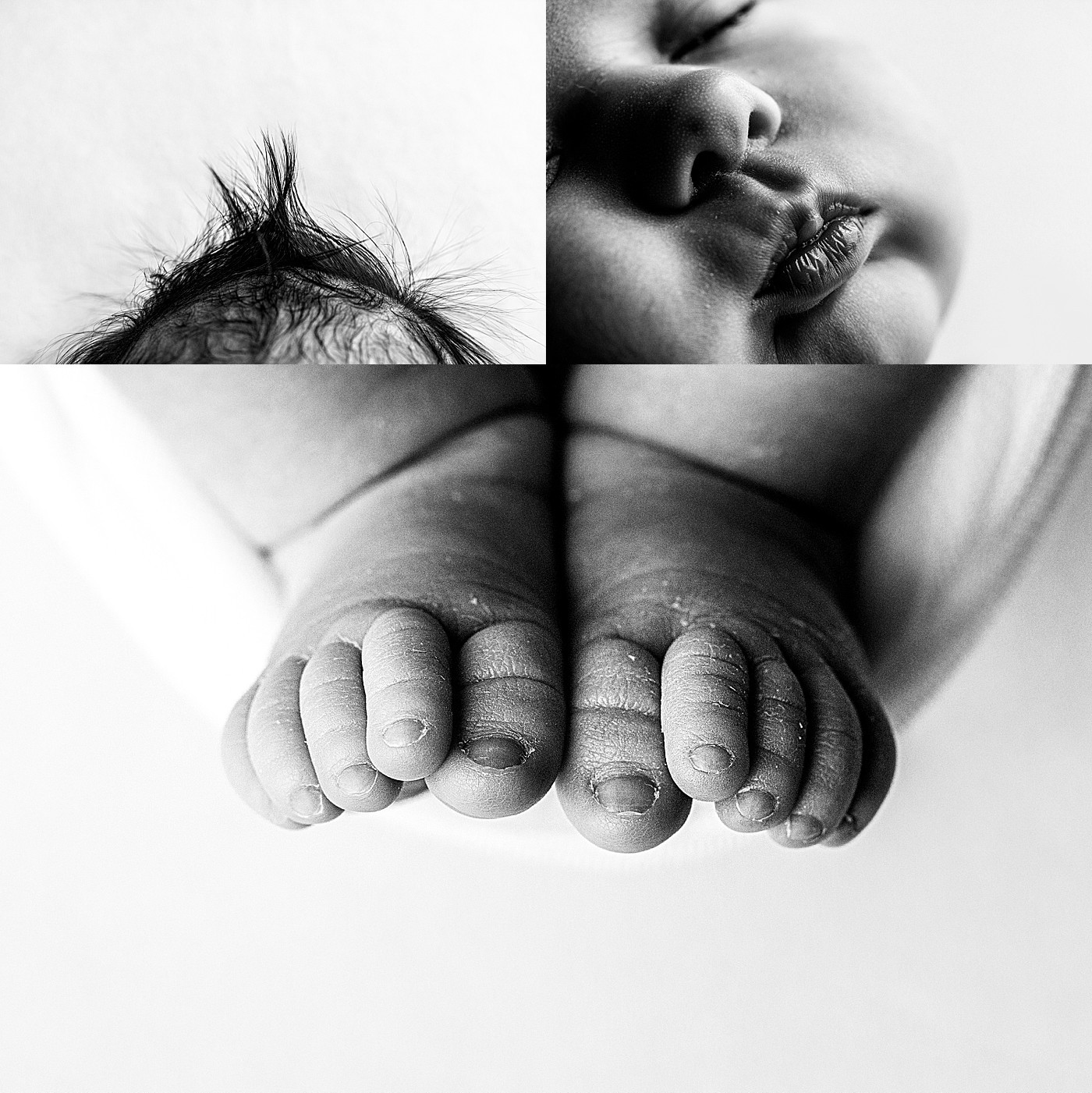 Seattle's best newborn photographer_0284.jpg