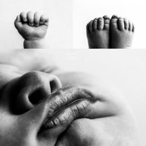 Seattle's Best Newborn Photographer