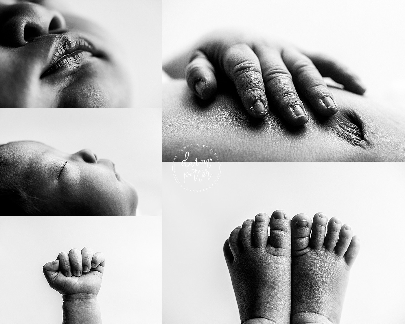 Seattle newborn photographer, newborn portrait session near me, baby photography studio Seattle