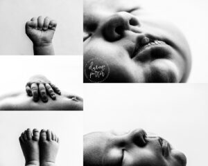 Seattle's premier newborn photographer