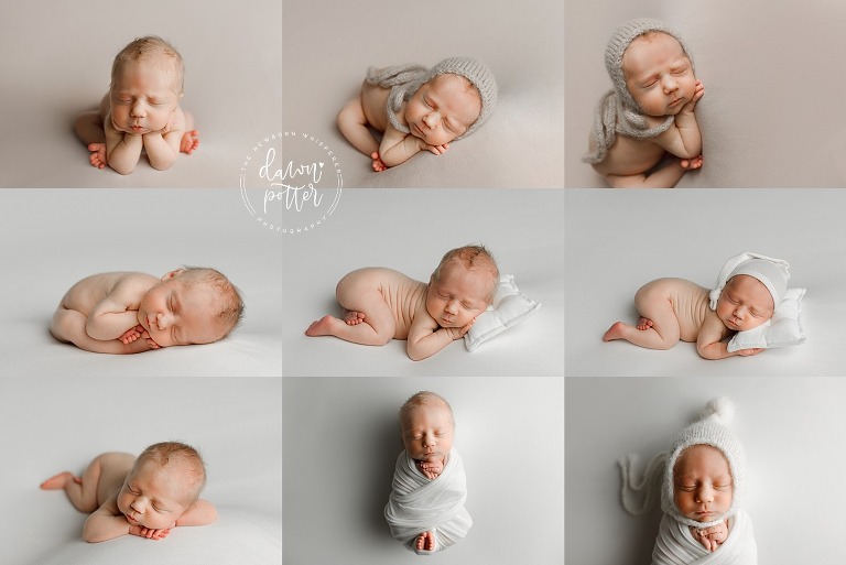 Best Seattle Newborn Photographer, get newborn pictures taken, baby portraits Seattle