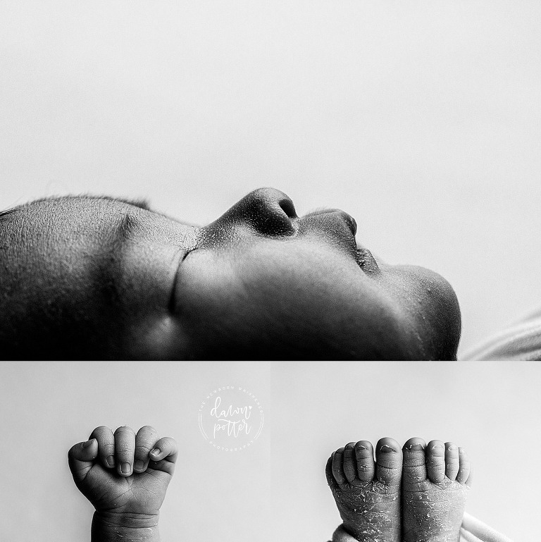 Seattle newborn photographer near me, best newborn portraits Seattle, baby photography Seattle