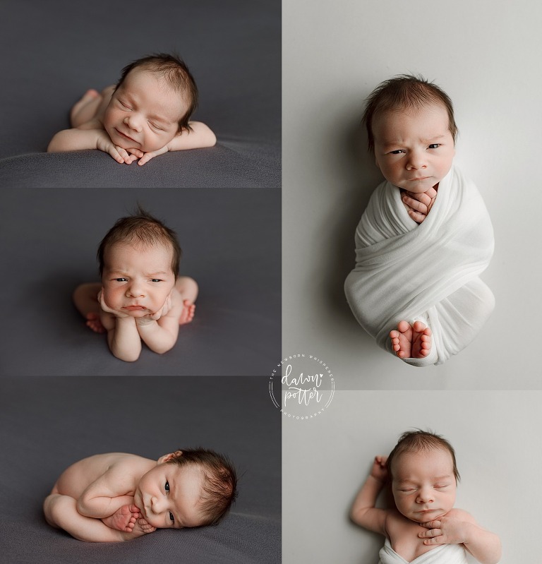 newborn portrait studio near me, best baby photography Seattle, newborn photoshoot Seattle