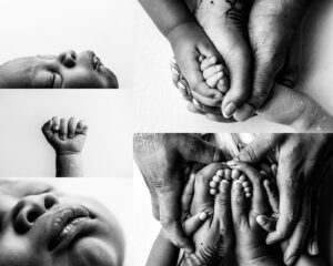 best Seattle newborn photographer, best Renton WA baby photography, newborn portraits Seattle