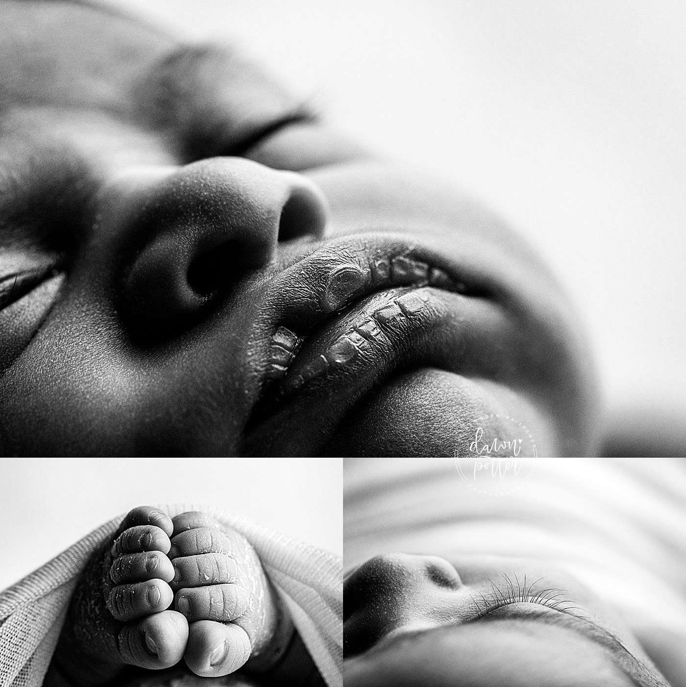Renton's best newborn photographer_0080.jpg