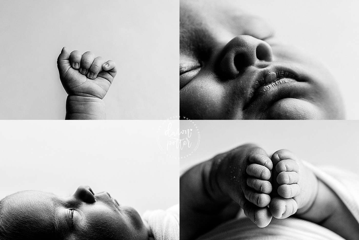 best Seattle newborn baby photographer, newborn portrait studio near me Mercer Island, Issaquah baby portraits