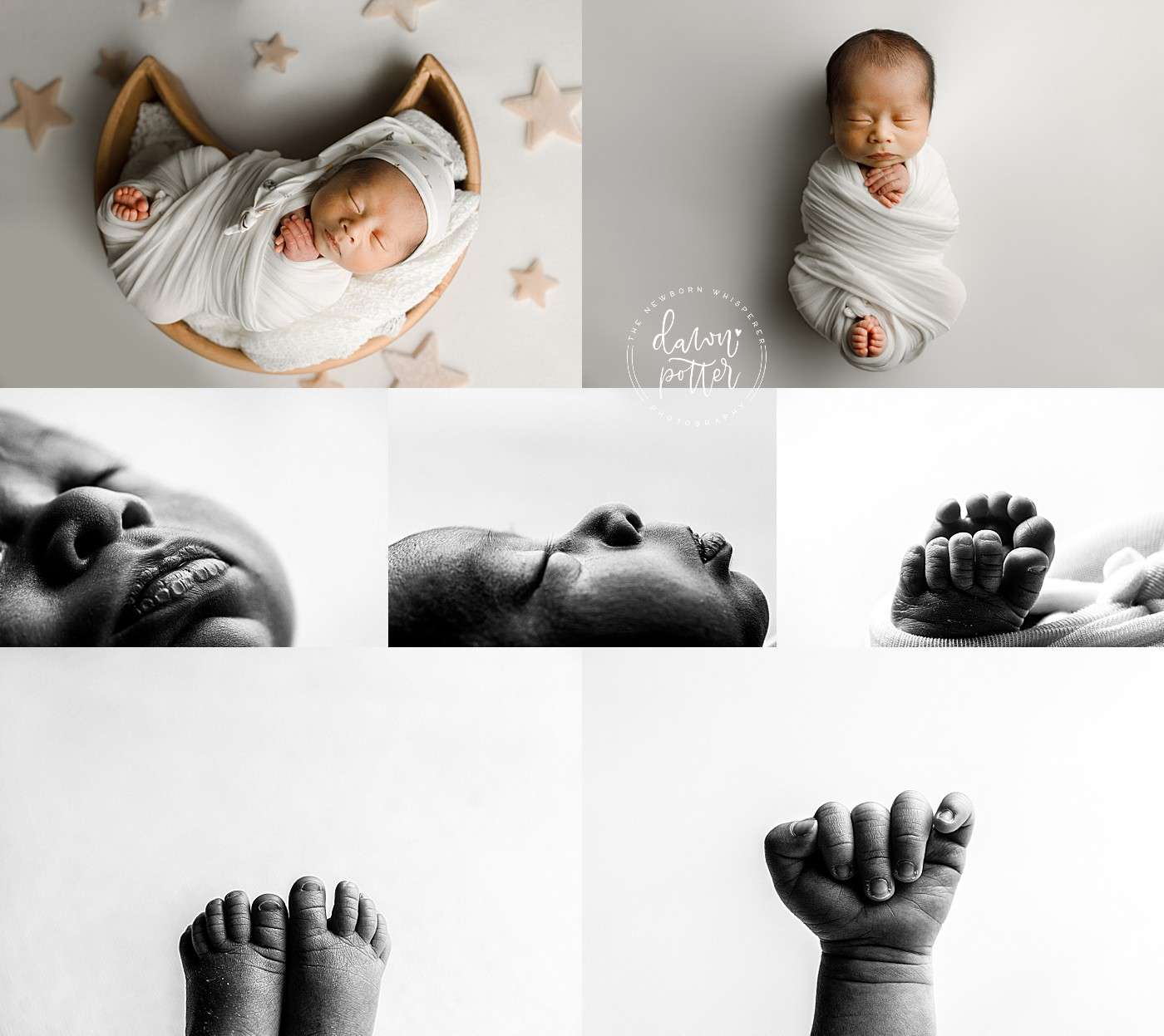 Seattle newborn family photography, newborn studio session, family portraits Seattle, proud parents newborn, baby photography Seattle