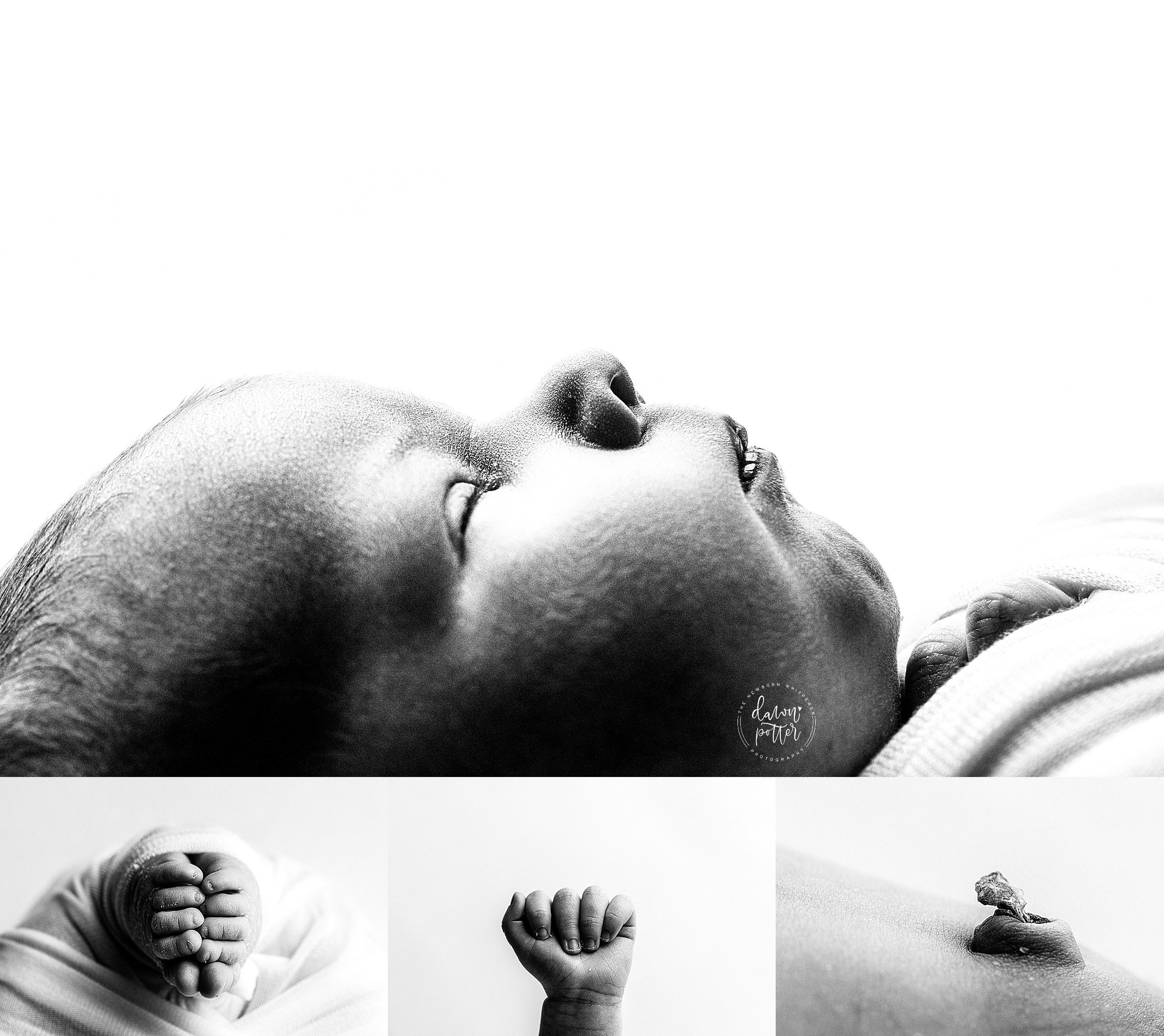 Seattle newborn photographer, newborn portrait studio, repeat clients, baby girl photography, newborn photography session