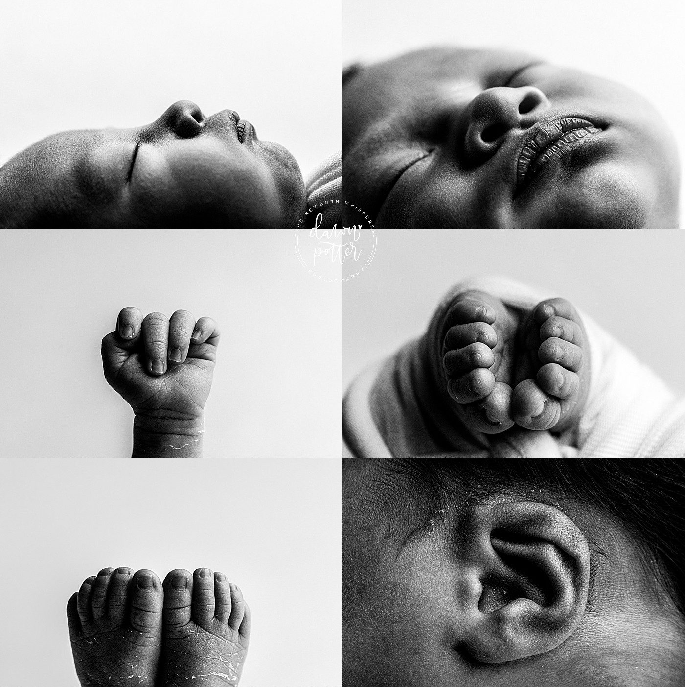 Seattle Newborn Studio_0181.jpg