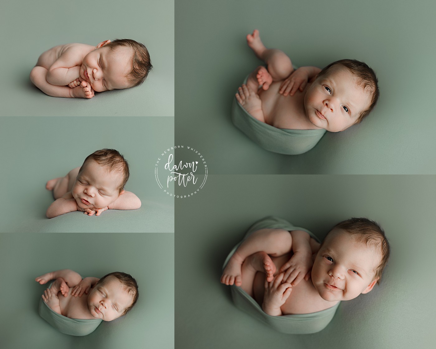 Tukwila Newborn Photographer