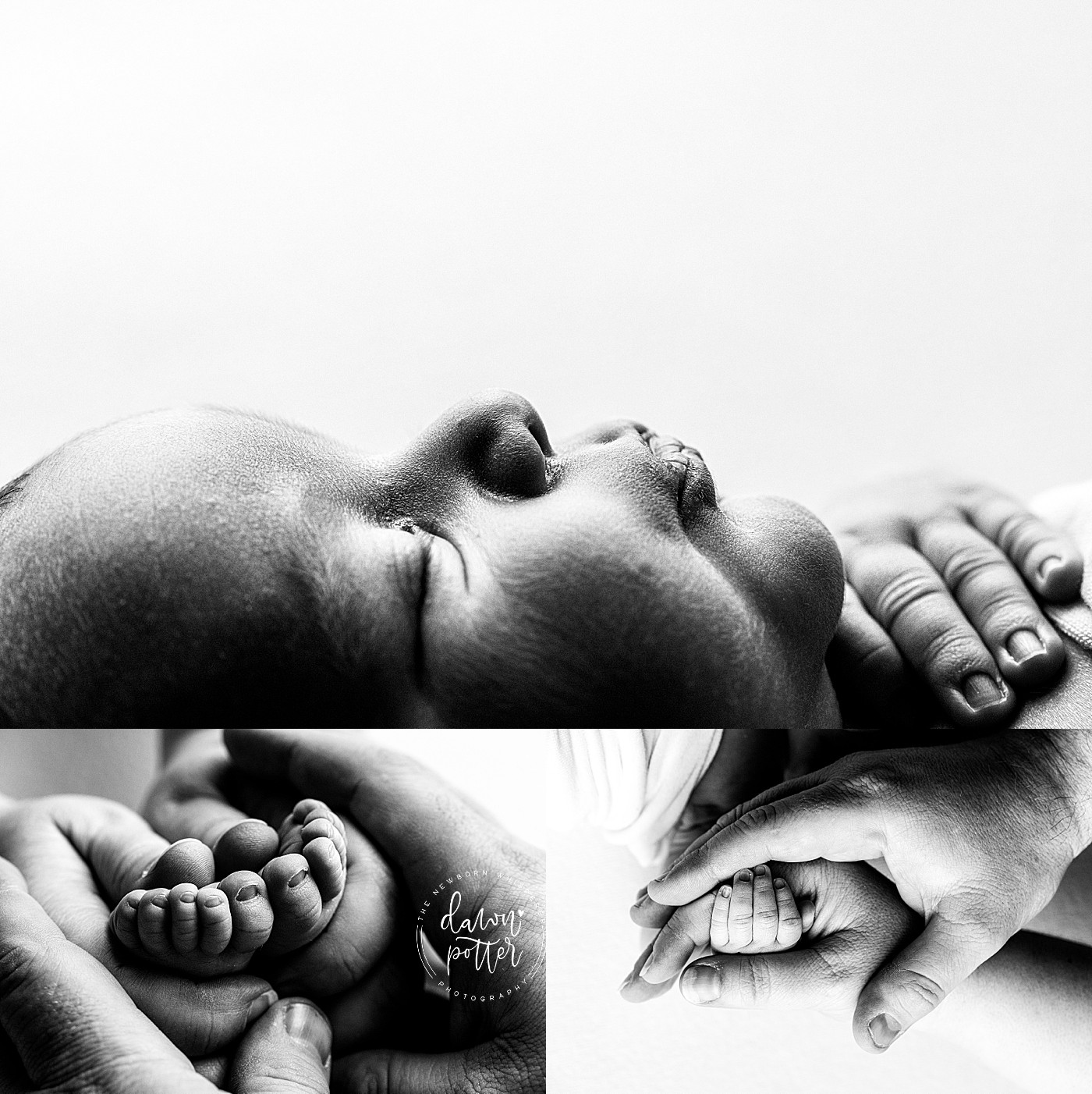 Tukwila Newborn Photographer