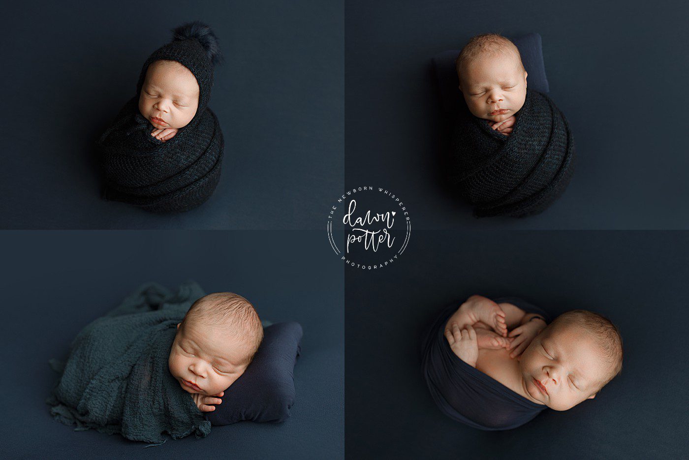 Seattle newborn photographer, returning client newborn session, growing family portraits, newborn photography Seattle, family milestone photography
