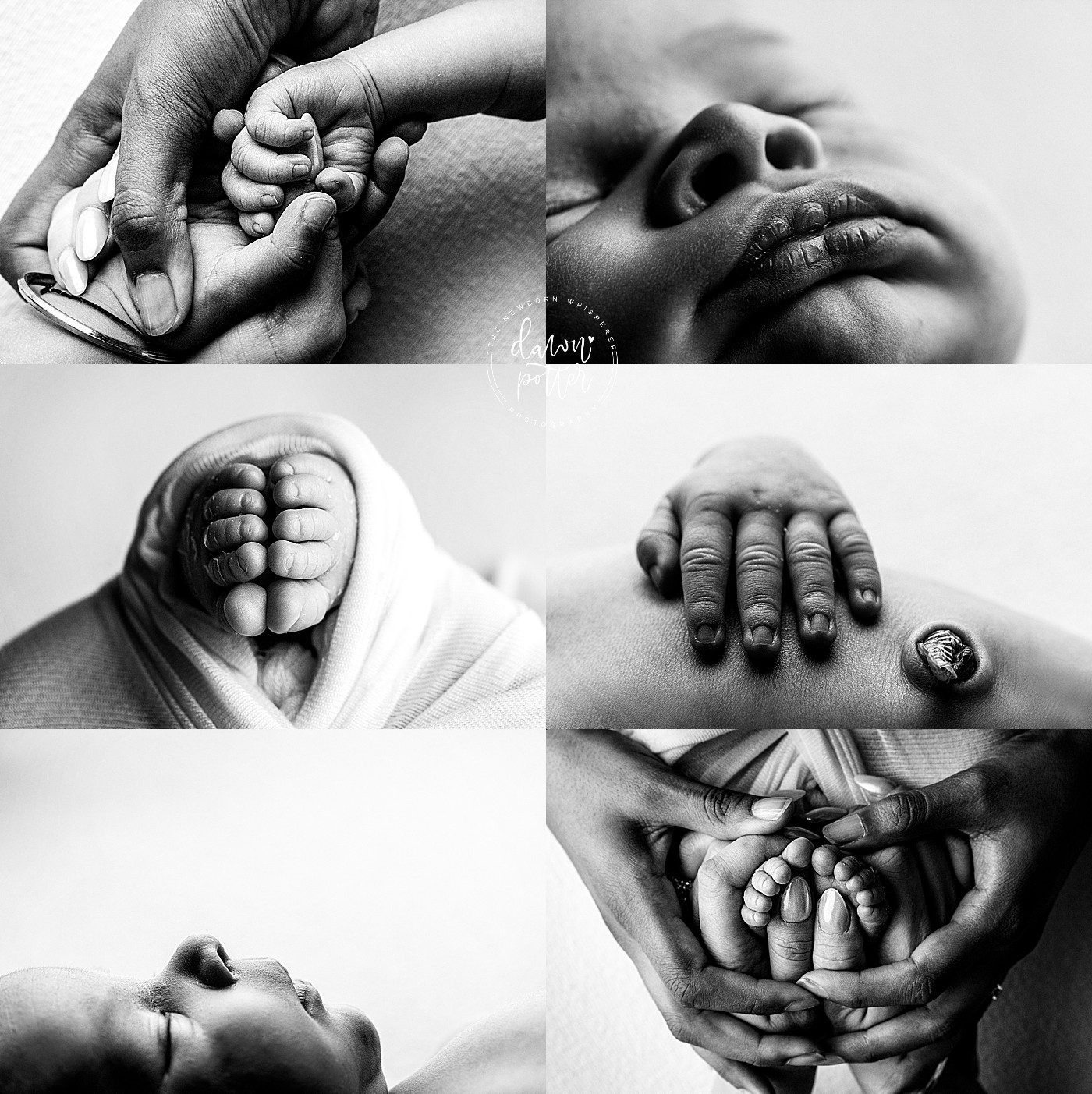 Seattle newborn photographer, returning client newborn session, growing family portraits, newborn photography Seattle, family milestone photography